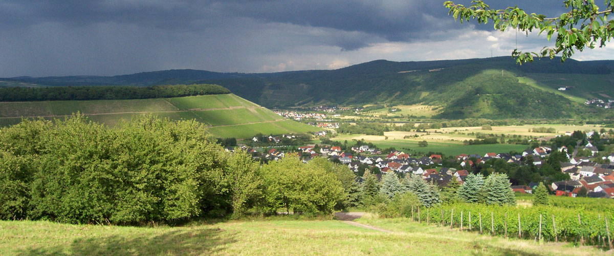 Ayler Kupp, Weingut Eilenz